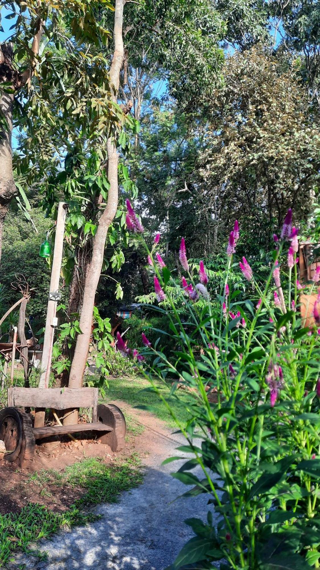Camping Nomadas Bonito  Bagian luar foto